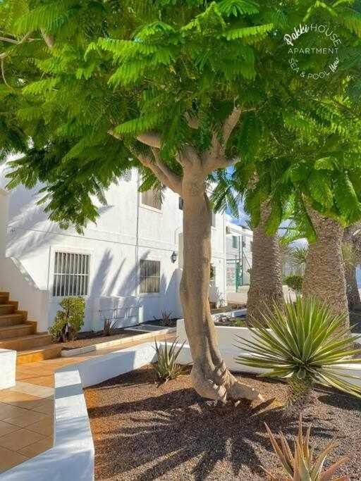 San Valentin Pakky House Apartment Corralejo Exterior foto